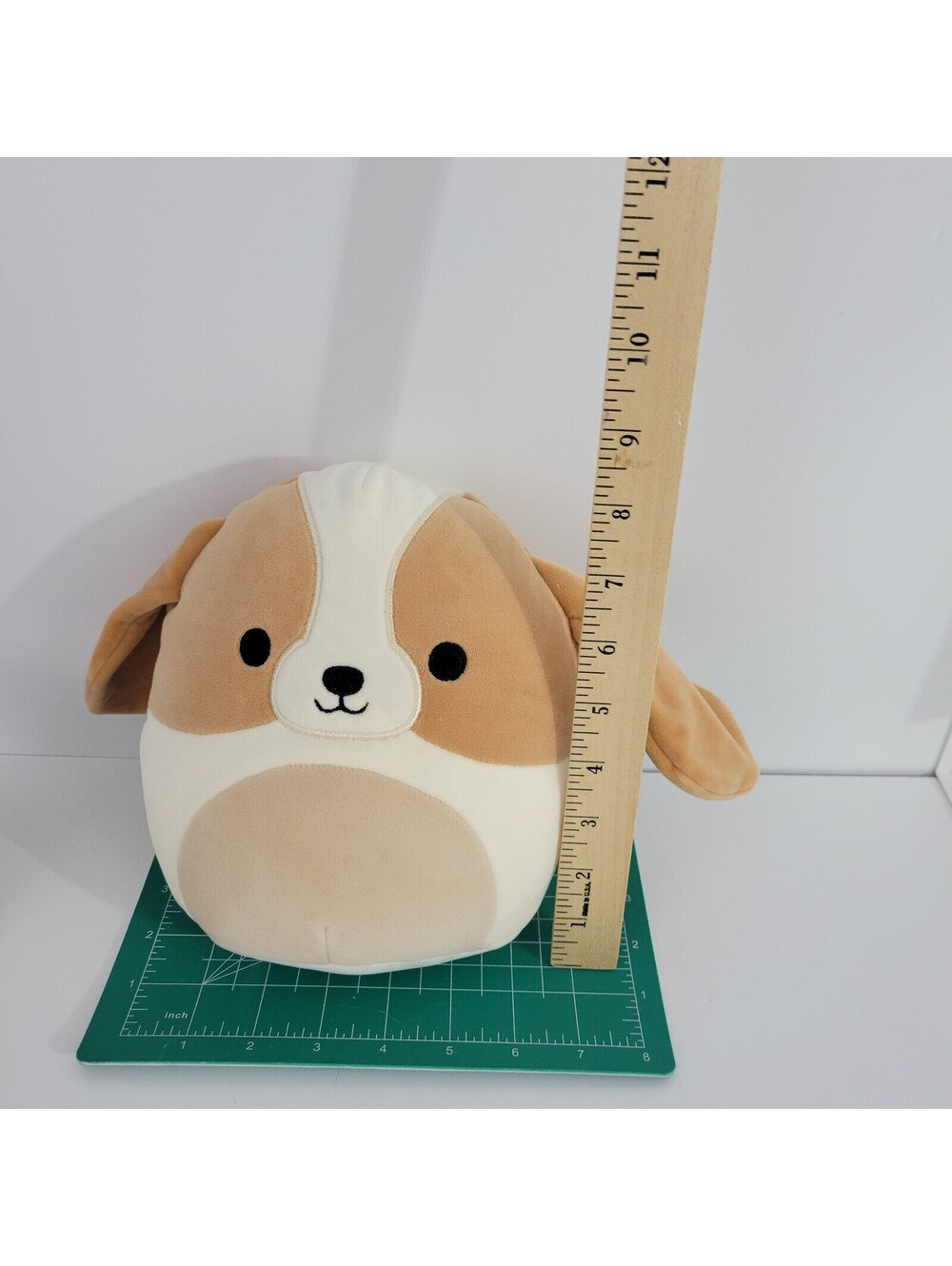 Squishmallows Adela the Basset Hound